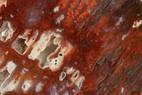 Polished Sicat Plume Agate Slab - Cady Mountains, California #263699-1